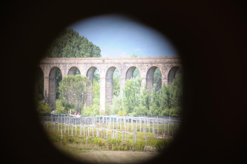 Appartamenti Vacanze Il Nottolini Capannori Luaran gambar